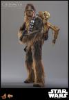 StarWars-Chewbacca-C3PO-Figure-06