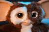 Dancing-Gizmo-Plush-004