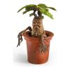Harry-Potter-Mandrake-Magical-Creatures-Diorama-03