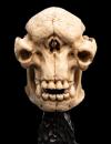 LOTR-Skull-of-a-Cave-Troll-Miniature-05