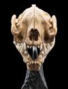 LotR-Warg-Skull-Miniature-10