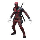 View Details for HOTMMS782