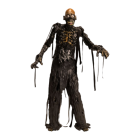 View Details for TTSTTEM108